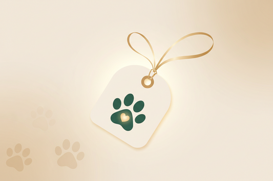Sympathy Gifts for Pet Owners: 7 Thoughtful Ideas
