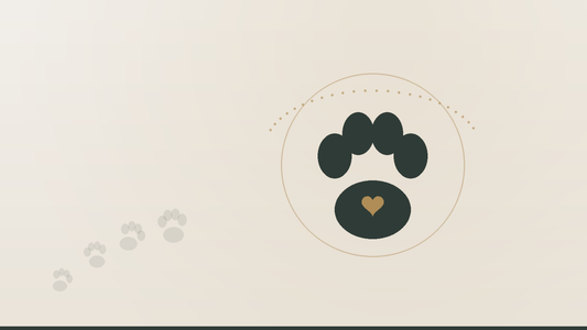 Paw Print Jewelry: The Most Beautiful Way to Keep Your Pet's Memory Alive