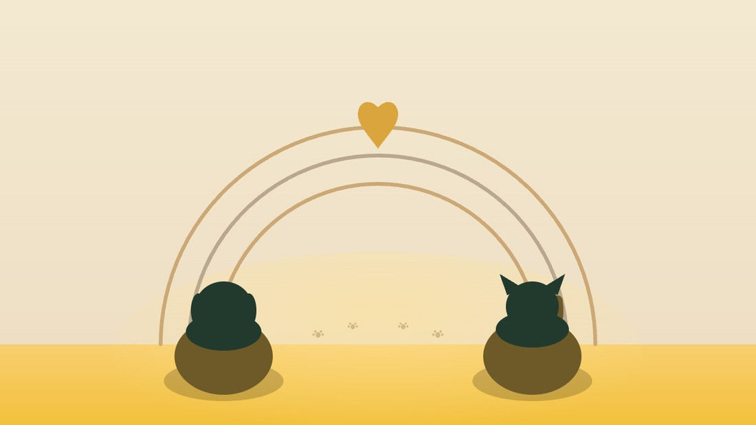 The Rainbow Bridge: The Story Behind the Poem That Comforts Grieving Pet Owners