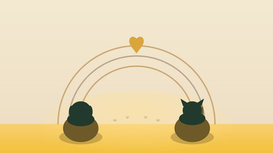 The Rainbow Bridge: The Story Behind the Poem That Comforts Grieving Pet Owners